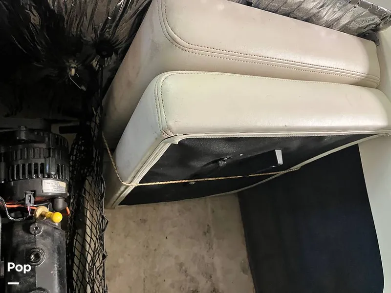 Slide: The Image of Filler Cushions - 16421484