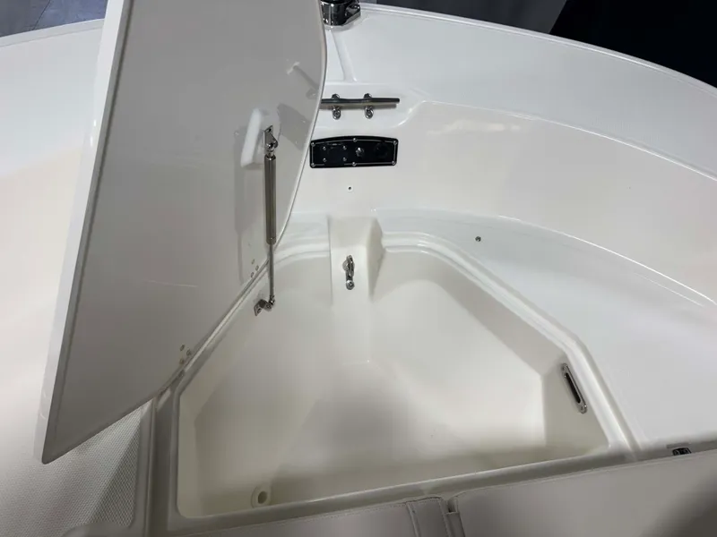 Slide: The Image of Boston Whaler 210 Montauk 2026 - 47