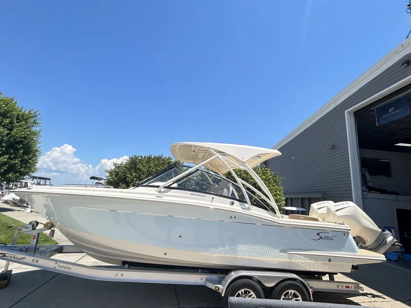 Slide: The Image of Scout 255 Dorado 2024 - 1