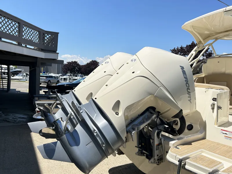 Slide: The Image of Scout 255 Dorado 2024 - 22