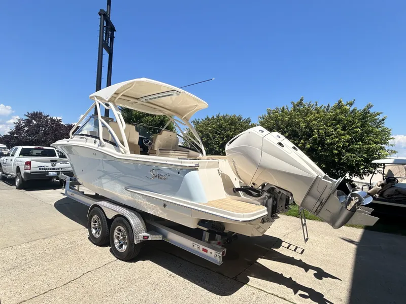 Slide: The Image of Scout 255 Dorado 2024 - 5