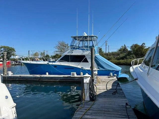 Slide: The Image of Hatteras 46 Sportfish 1978 - 16448843