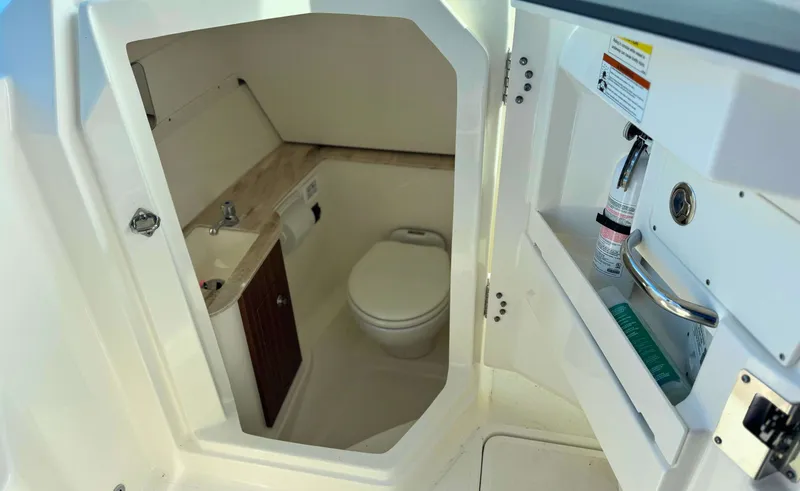 Slide: The Image of Pursuit Hours DC 266 stk number 2023 - 19