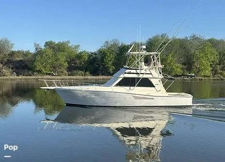 The Image of Viking 38 Convertible 1990 - undefined