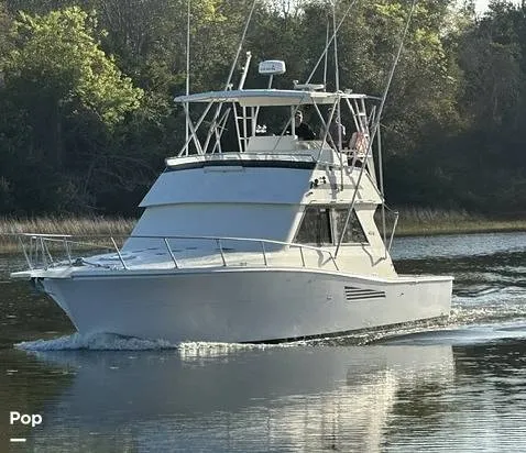 Slide: The Image of Viking 38 Convertible 1990 - 16450995