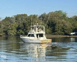 Slide: The Image of Viking 38 Convertible 1990 - 16450996