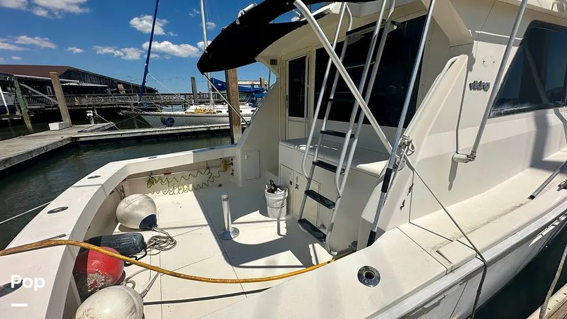 Slide: The Image of Viking 38 Convertible 1990 - 16465104