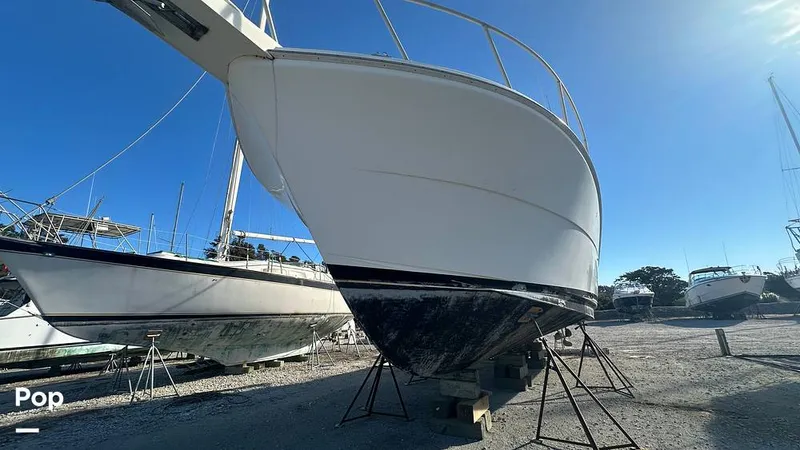 Slide: The Image of Viking 38 Convertible 1990 - 16841900