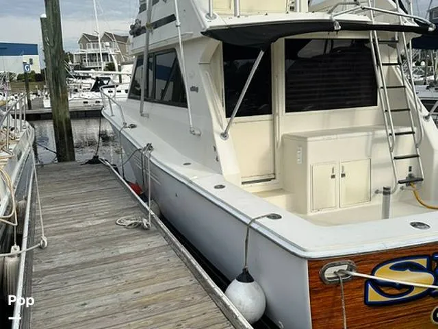 Slide: The Image of Viking 38 Convertible 1990 - 16450997