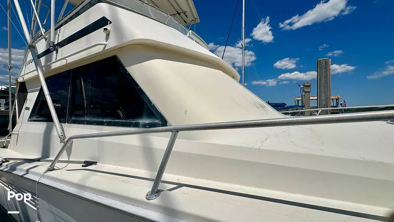 Slide: The Image of Viking 38 Convertible 1990 - 16465108