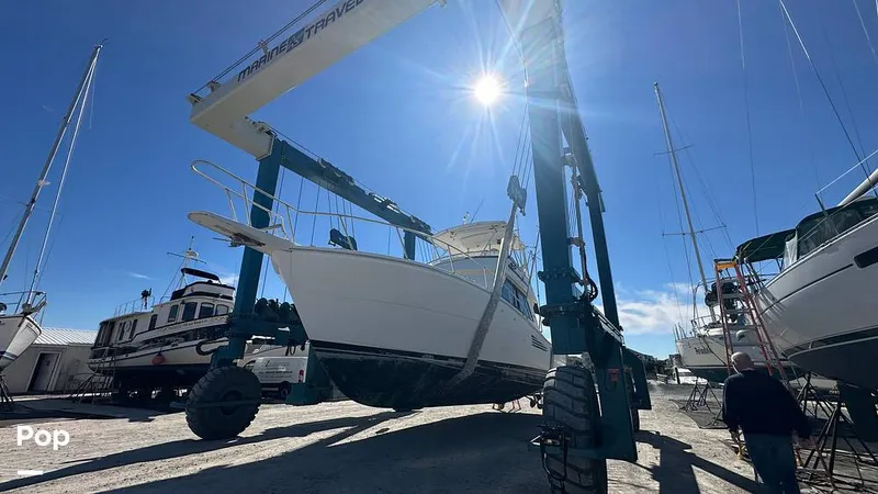 Slide: The Image of Viking 38 Convertible 1990 - 16842888