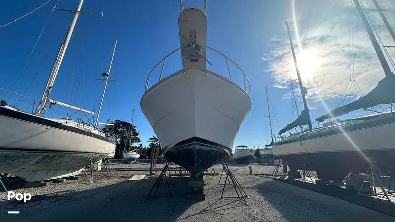 Slide: The Image of Viking 38 Convertible 1990 - 16841897