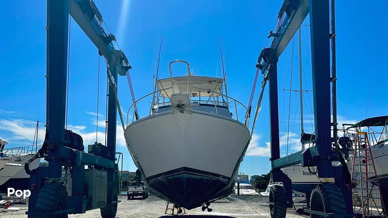 Slide: The Image of Viking 38 Convertible 1990 - 16842887