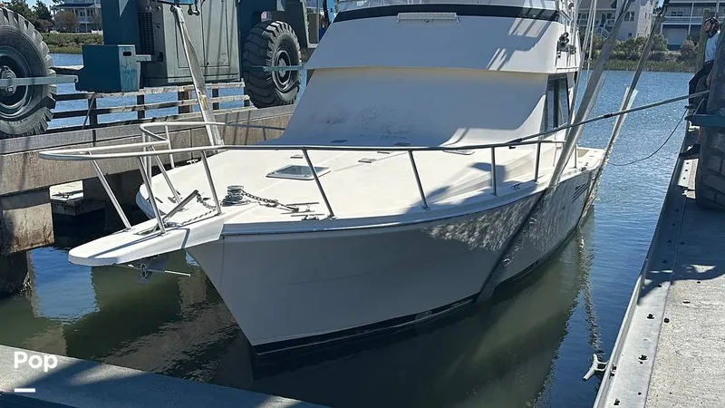 Slide: The Image of Viking 38 Convertible 1990 - 16842886