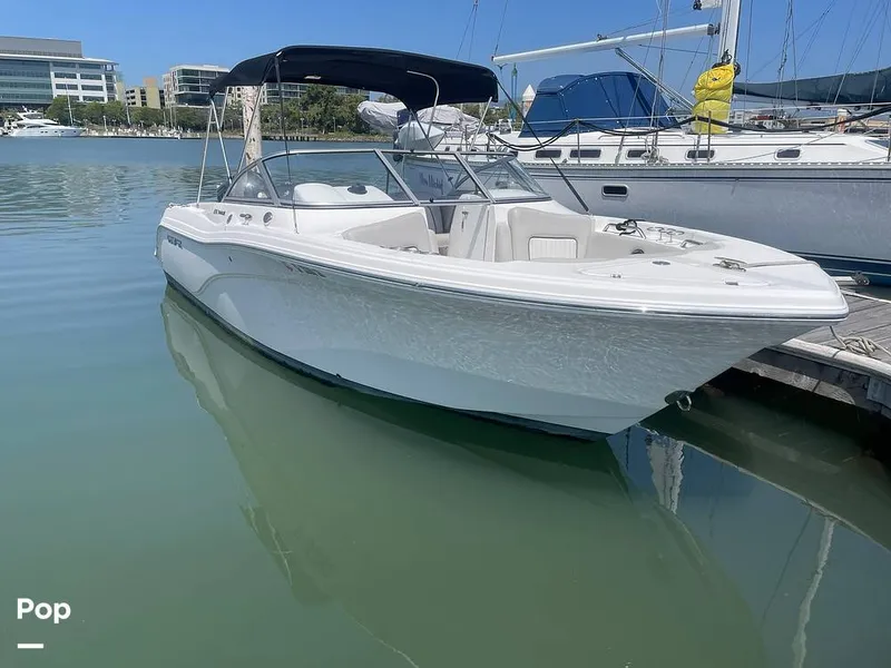 The Image of Sea Fox 226 Traveler 2024 - undefined