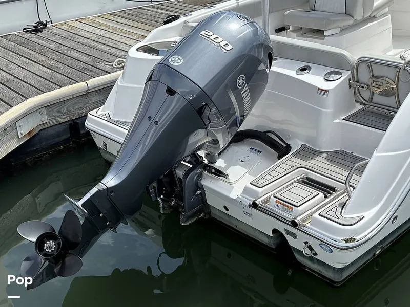 Slide: The Image of Sea Fox 226 Traveler 2024 - 16476842