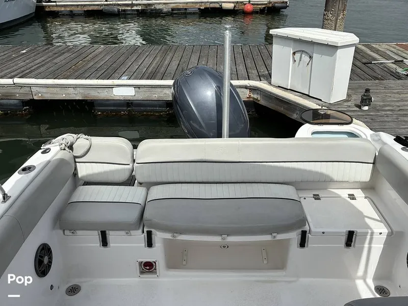 Slide: The Image of Sea Fox 226 Traveler 2024 - 16476849