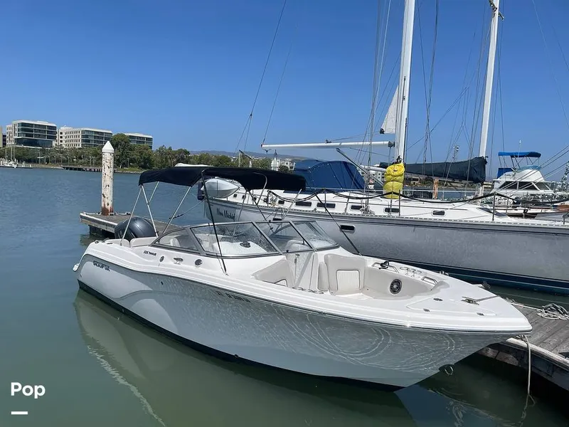 Slide: The Image of Sea Fox 226 Traveler 2024 - 16453248