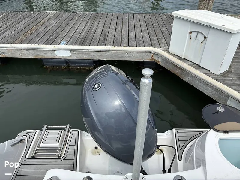 Slide: The Image of Sea Fox 226 Traveler 2024 - 16476900