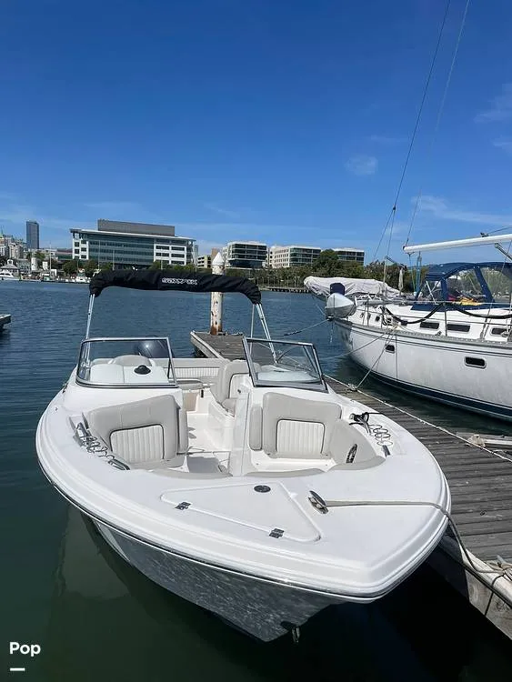 Slide: The Image of Sea Fox 226 Traveler 2024 - 16453252