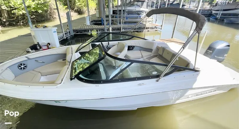 The Image of Regal 21 OBX 2022 - 16499583