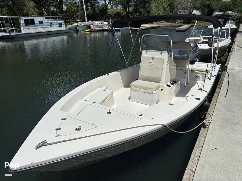 Slide: The Image of Cobia 21 Bay 2021 - 16452405