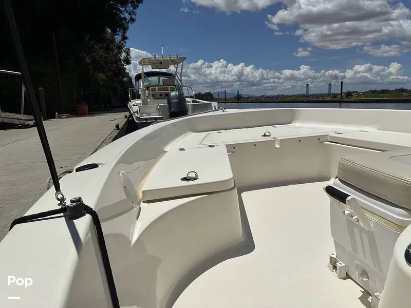 Slide: The Image of Cobia 21 Bay 2021 - 16452443