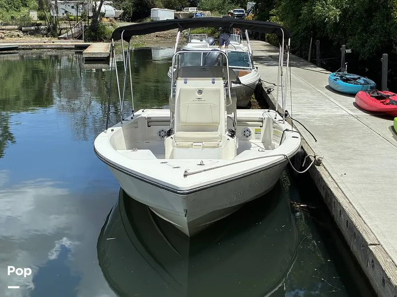 Slide: The Image of Cobia 21 Bay 2021 - 16452406