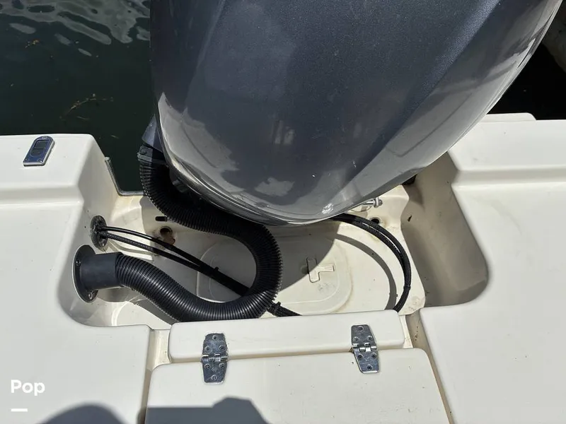 Slide: The Image of Cobia 21 Bay 2021 - 16452452