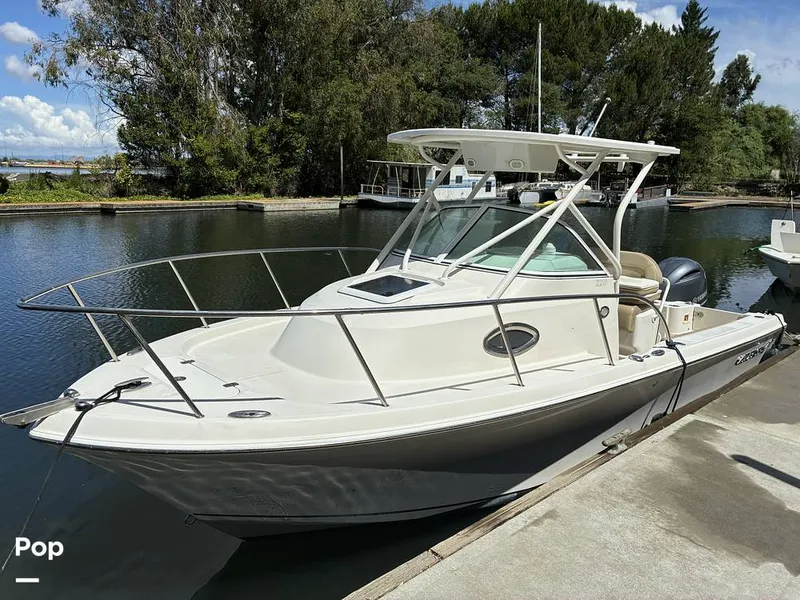 The Image of Sailfish 220 WAC 2021 - 16452320
