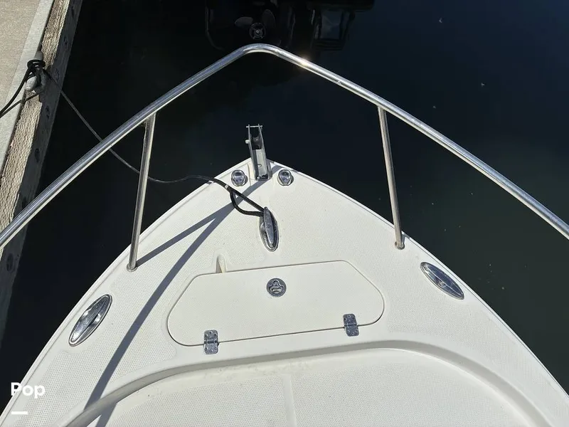 Slide: The Image of Sailfish 220 WAC 2021 - 16452344