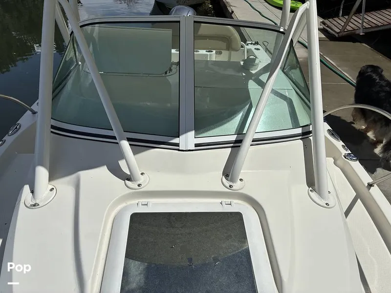 Slide: The Image of Sailfish 220 WAC 2021 - 16452346