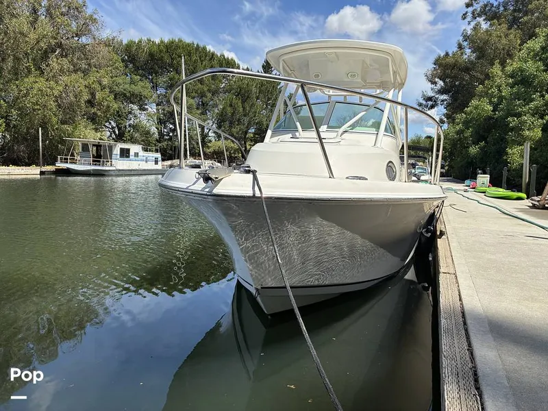 Slide: The Image of Sailfish 220 WAC 2021 - 16452322