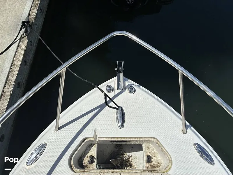 Slide: The Image of Sailfish 220 WAC 2021 - 16452349