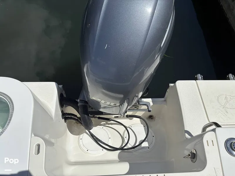 Slide: The Image of Sailfish 220 WAC 2021 - 16452356