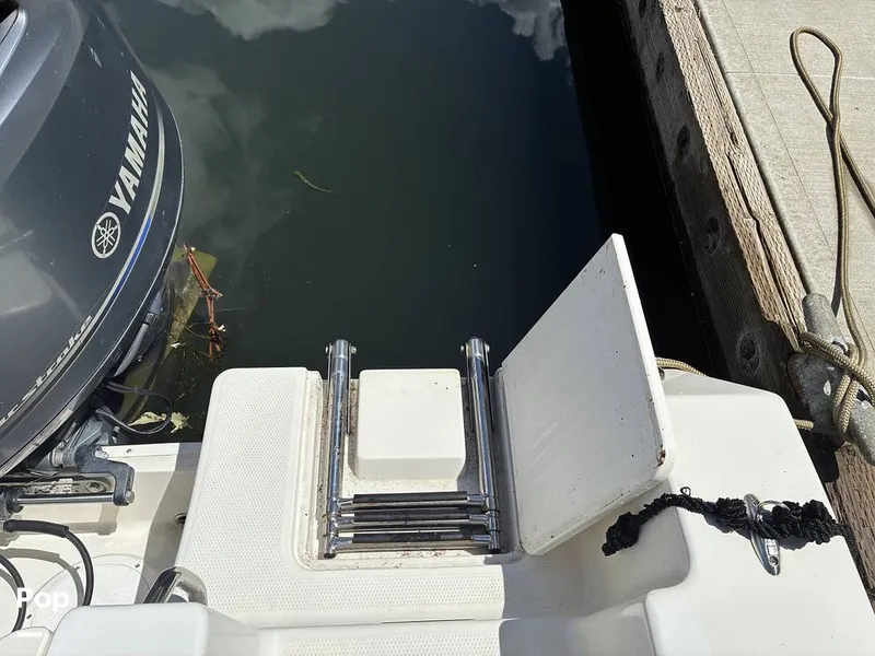 Slide: The Image of Sailfish 220 WAC 2021 - 16452357