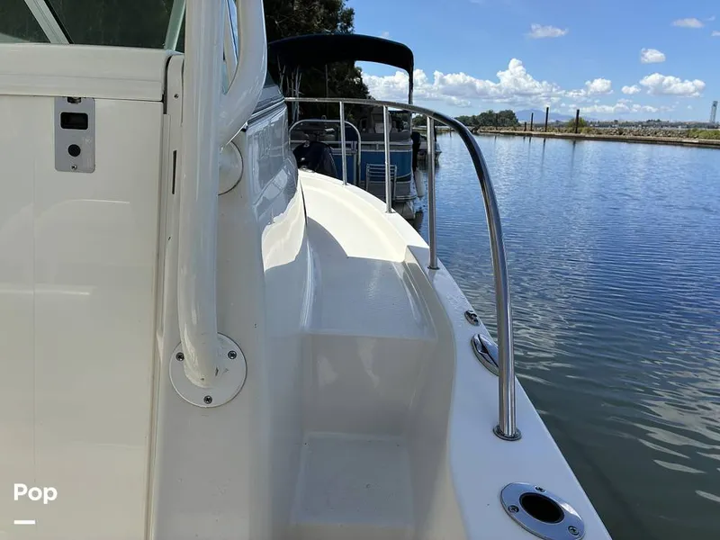 Slide: The Image of Sailfish 220 WAC 2021 - 16452375