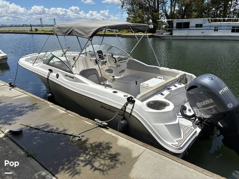 The Image of Sea Fox 226 Traveler 2024 - undefined