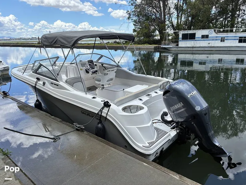 Slide: The Image of Sea Fox 226 Traveler 2024 - 16452866