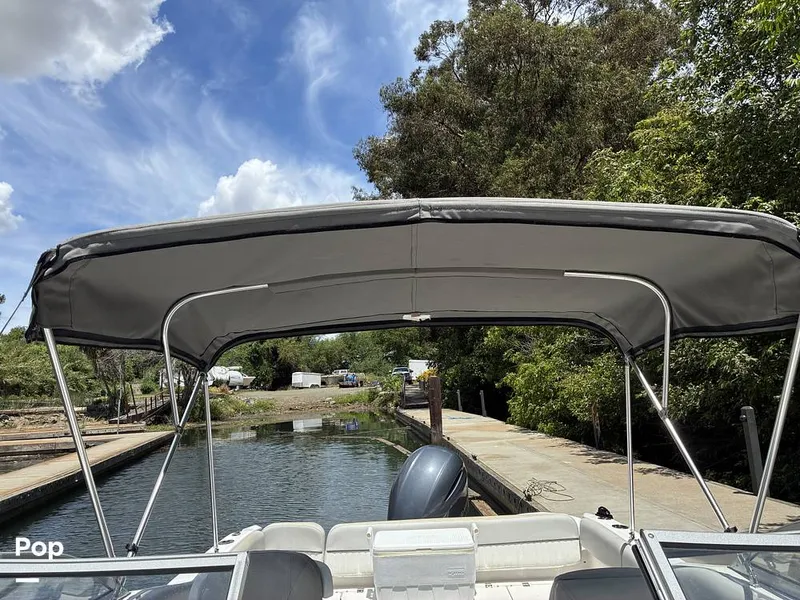 Slide: The Image of Sea Fox 226 Traveler 2024 - 16452884