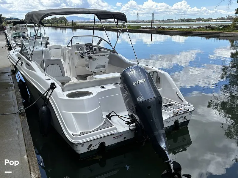 Slide: The Image of Sea Fox 226 Traveler 2024 - 16452867