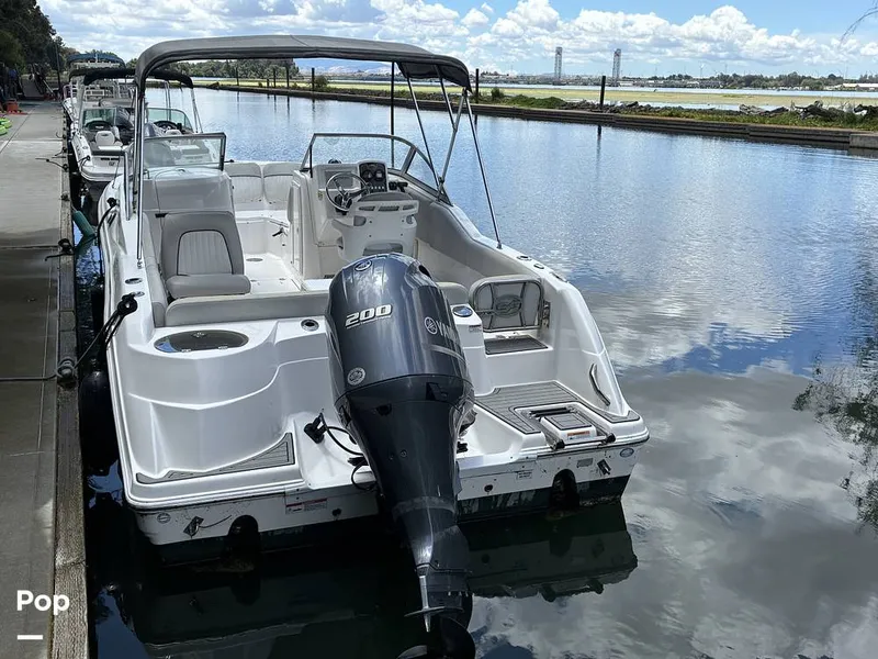 Slide: The Image of Sea Fox 226 Traveler 2024 - 16452869