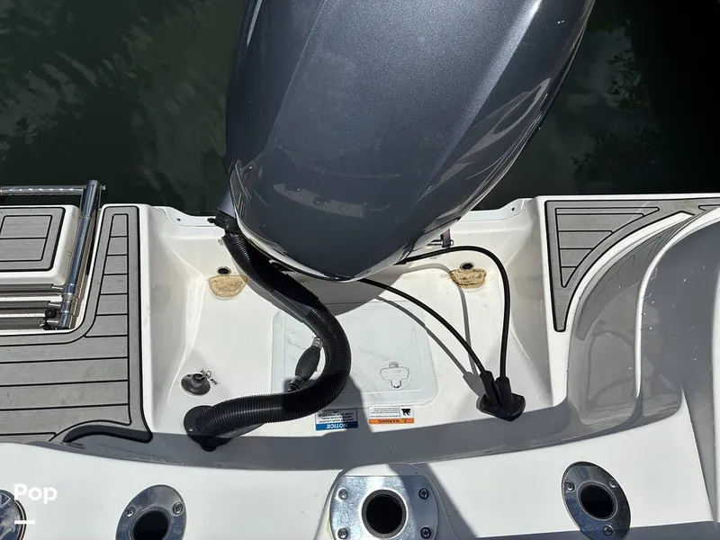 Slide: The Image of Sea Fox 226 Traveler 2024 - 16452913