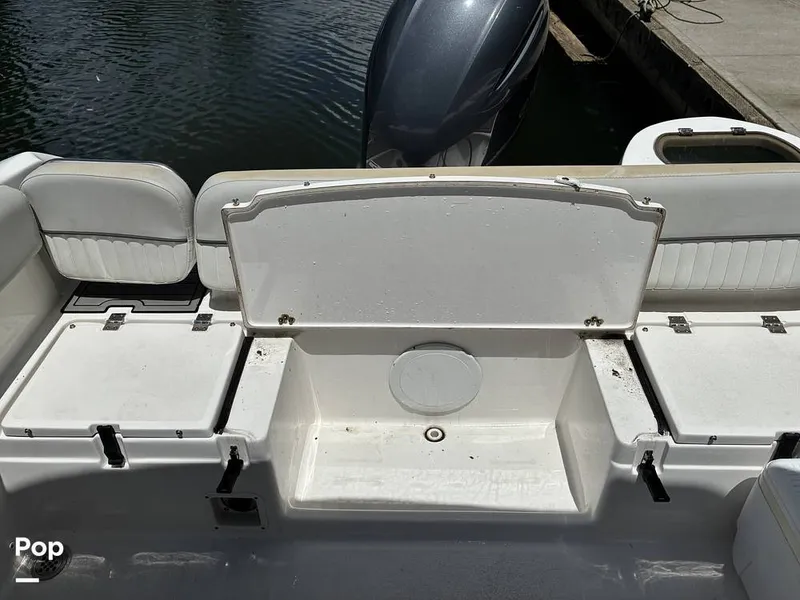 Slide: The Image of Sea Fox 226 Traveler 2024 - 16452916