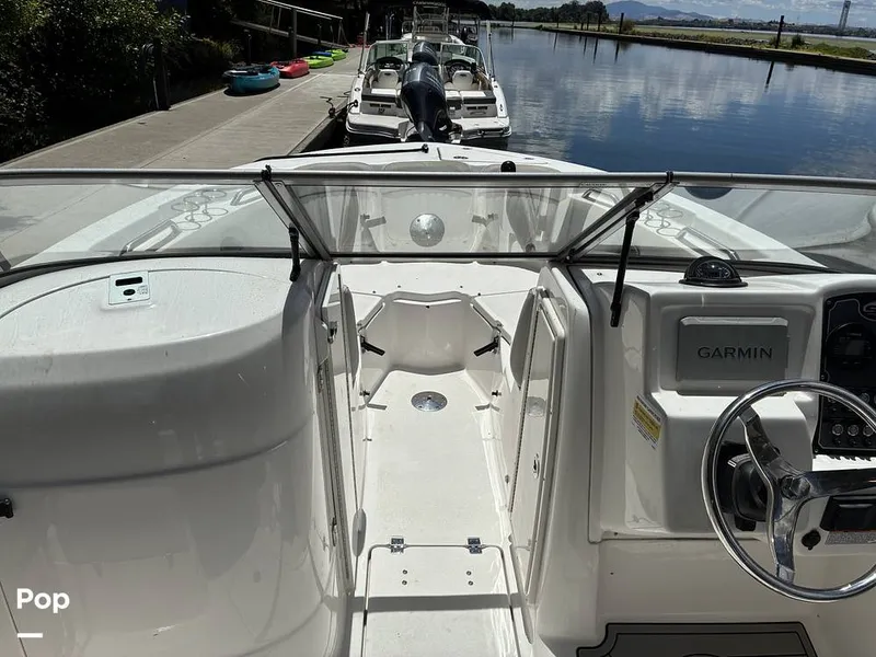 Slide: The Image of Sea Fox 226 Traveler 2024 - 16452925