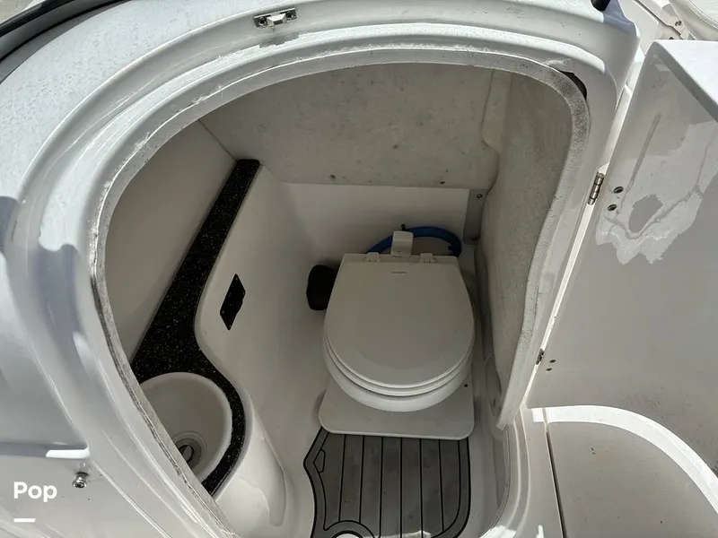 Slide: The Image of Sea Fox 226 Traveler 2024 - 16452928