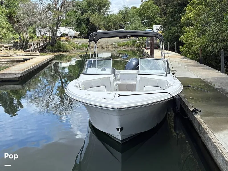 Slide: The Image of Sea Fox 226 Traveler 2024 - 16452872