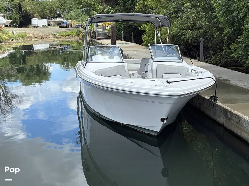 Slide: The Image of Sea Fox 226 Traveler 2024 - 16452873