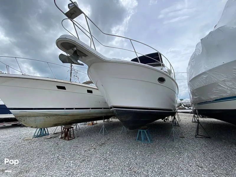 Slide: The Image of Carver Yachts 356MY 2003 - 16479503