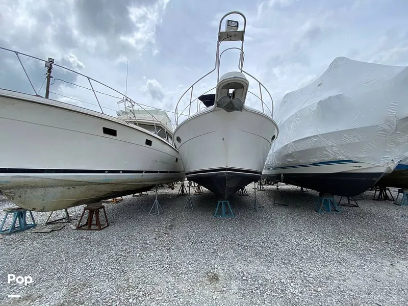 Slide: The Image of Carver Yachts 356MY 2003 - 16479504